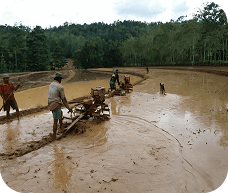 Gambar fase Persiapan Lahan