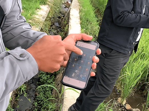 Pemandangan sawah untuk deskripsi KSA